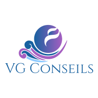 logo VG conseils